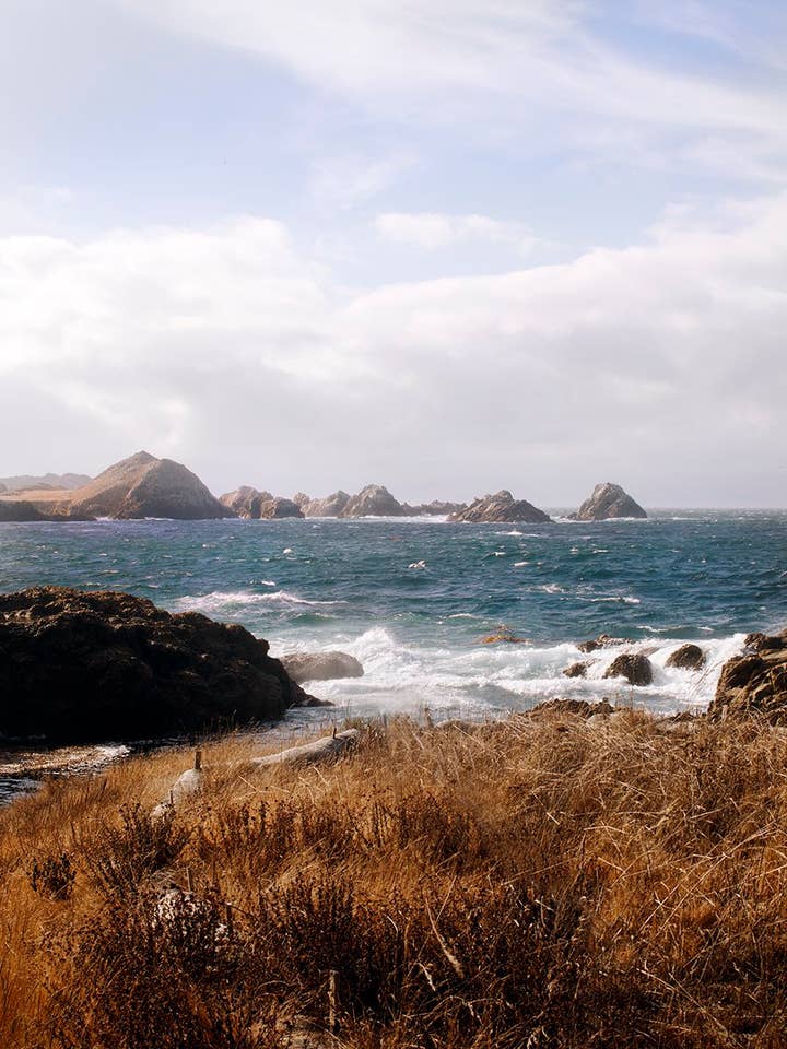 Litoral nº 5 por atacado de Wilder California