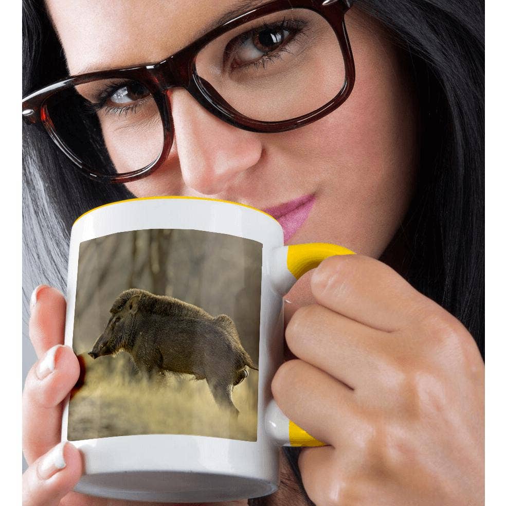 3dRose – wholesale Coffee mug – 3dRose, Wild Boar, Ranthambhor National Park, India-AS10 JRA0152 - Jagdeep Rajput, Mug1