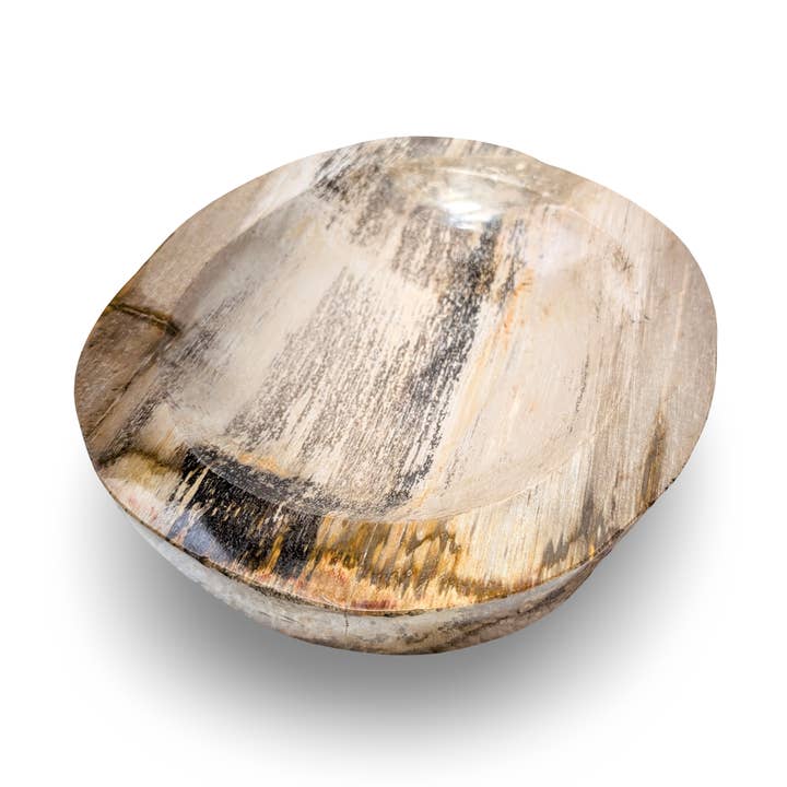 CIOTOLA IN LEGNO PIETRIFICATO, Ciotola in Legno Fossilizzato, Piatto in Legno di Pietra, Ciotola in Pietra Naturale per la vendita all'ingrosso da parte di baligood