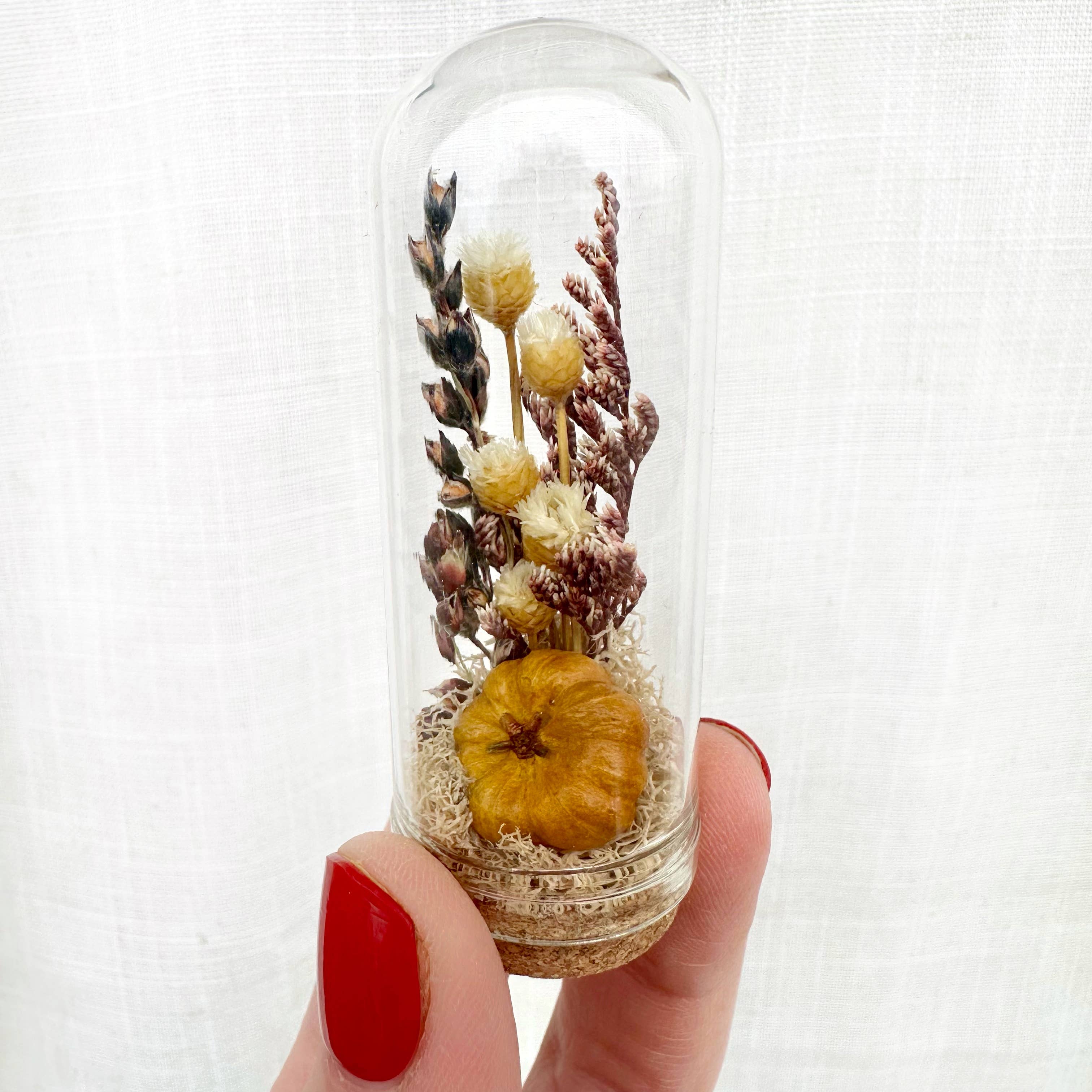 CA Studios - Wholesale Terrarium - Pumpkin Mix Mini Terrarium Potion Jar w Dried Florals2