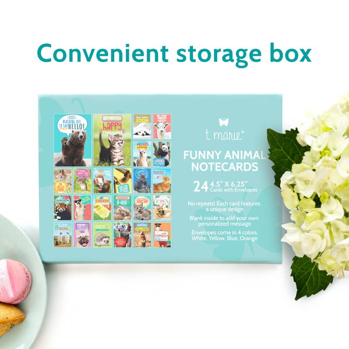 T Marie - Wholesale Everyday Greeting Card - 24 Funny Greeting Cards Set with Envelopes - 24 Designs5