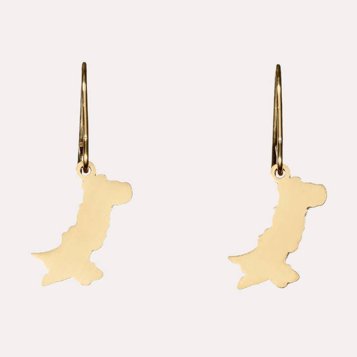 Pakistan Map Earrings for wholesale by ZUDO