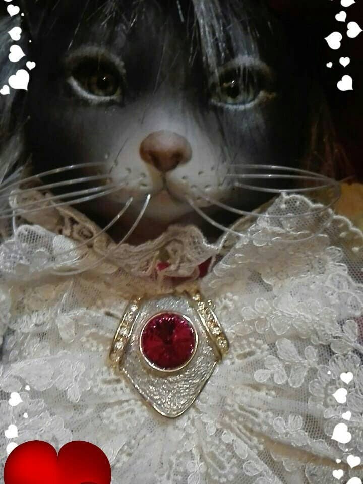 pirate cat for wholesale by MARAEL