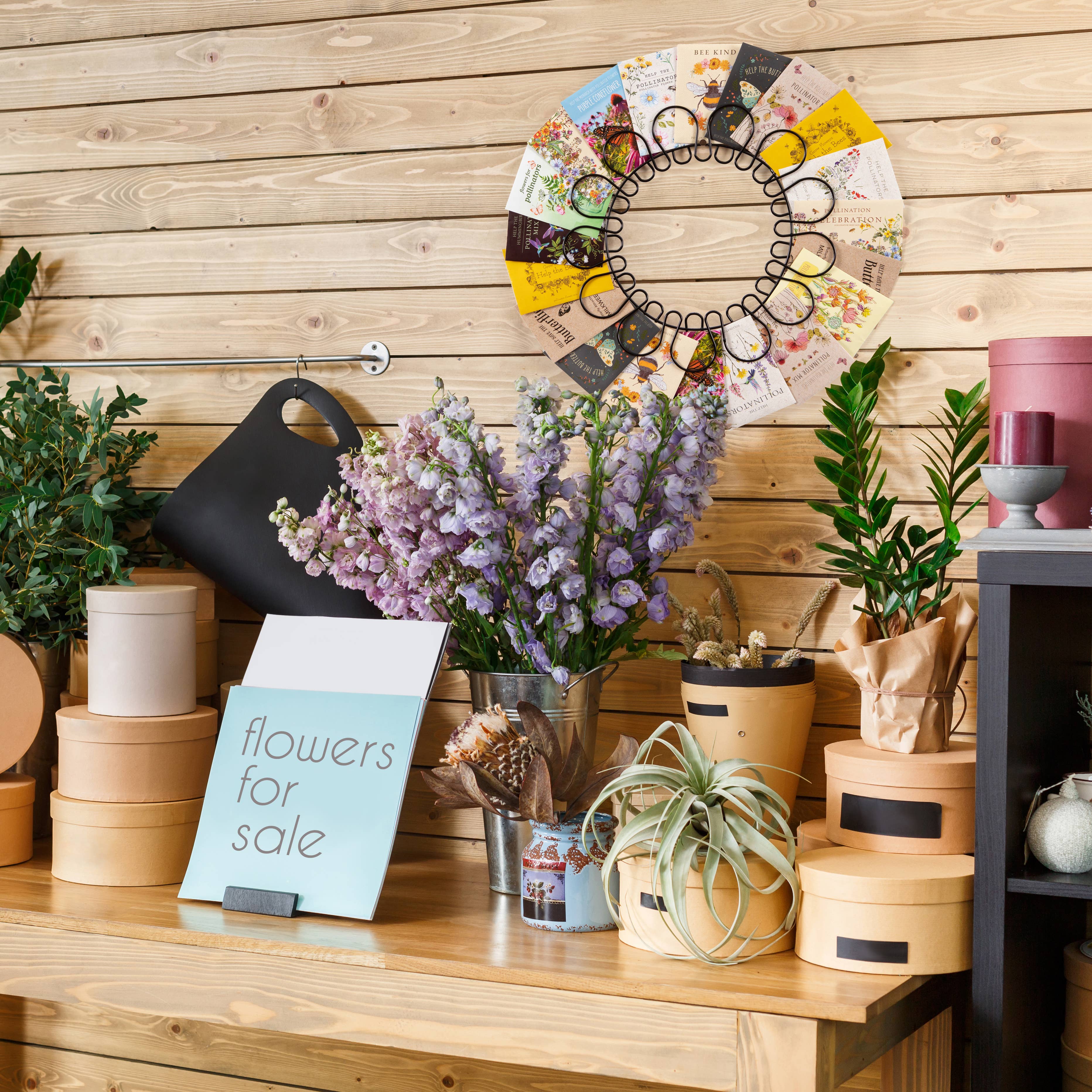 Bentley Seed Co. - Vente Couronne - Couronne pour pollinisateurs - 40 sachets de graines2