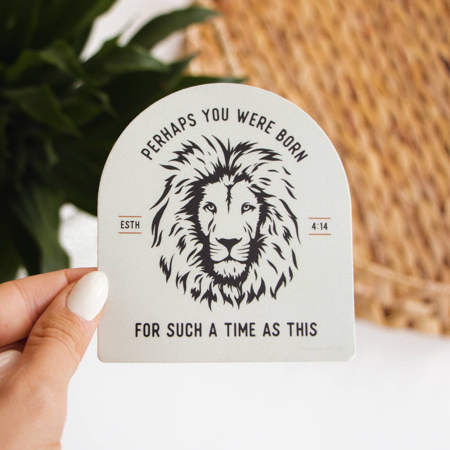 The Anastasia Co - Wholesale Sticker - For Such a Time as This Esther Lion Sticker - Ivory2
