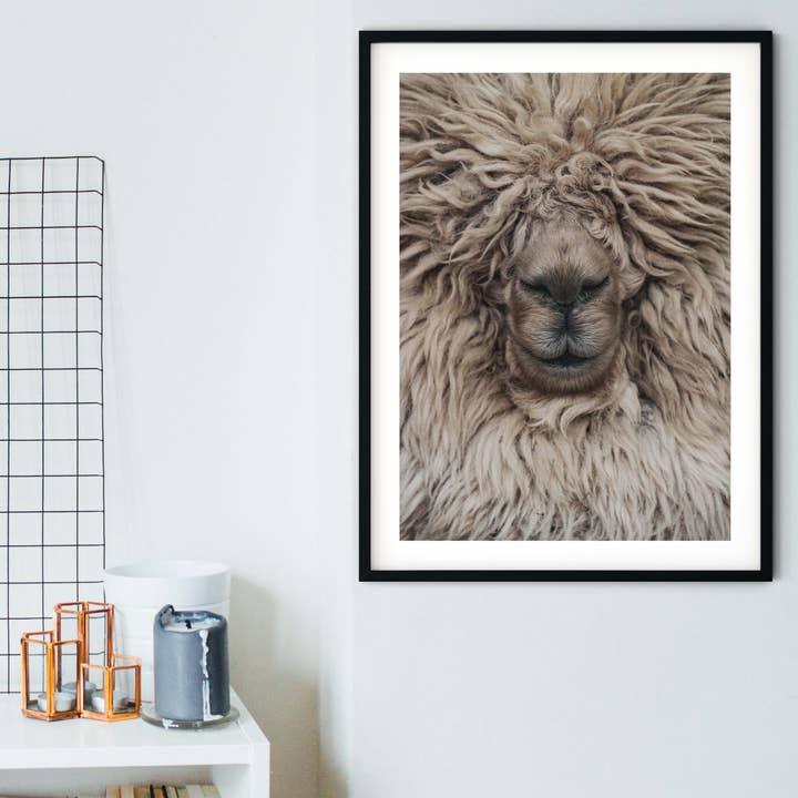 Framed Sheep Print for wholesale by Lelloliving