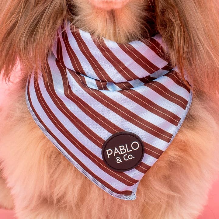 Söndagsränder: Hundhalsduk för wholesale av Pablo & Co. Boutique