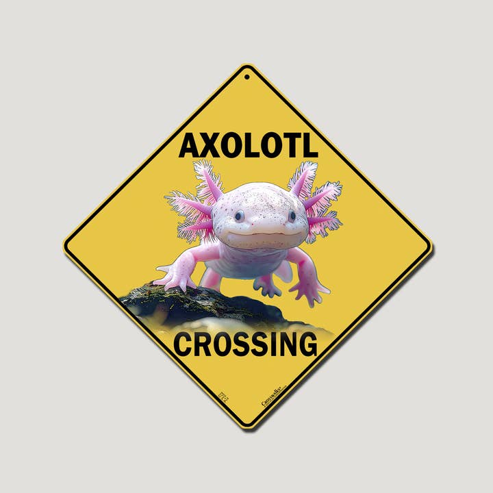 Axolotl Crossing 12" x 12" Aluminum Sign for wholesale by Atlas Screen Printing