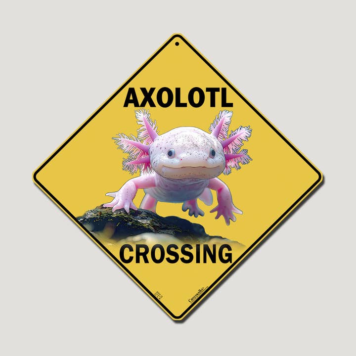Axolotl Crossing 12" x 12" Aluminum Sign for wholesale by Atlas Screen Printing