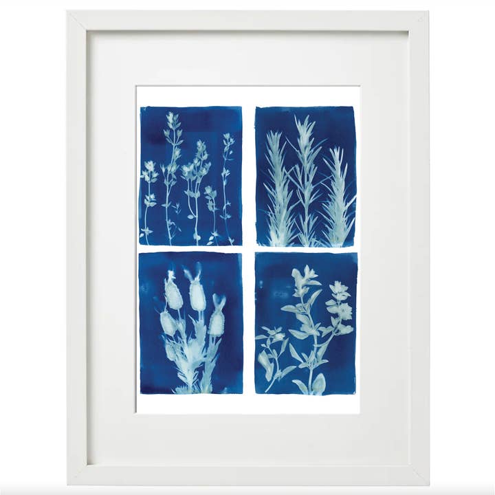 Køkken Herb Botanisk Cyanotype Kunsttryk for engroshandel hos Wild Azure Design