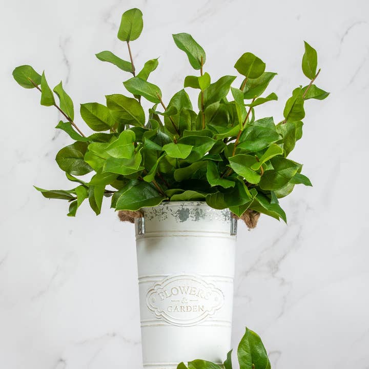 Prestige Botanicals - Vente Plantes artificielles - Tige de feuille de salal artificielle de 23 po1