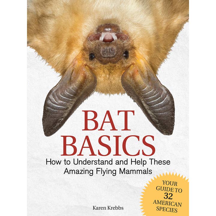 AdventureKEEN - Wholesale Book - Adult - Bat Basics