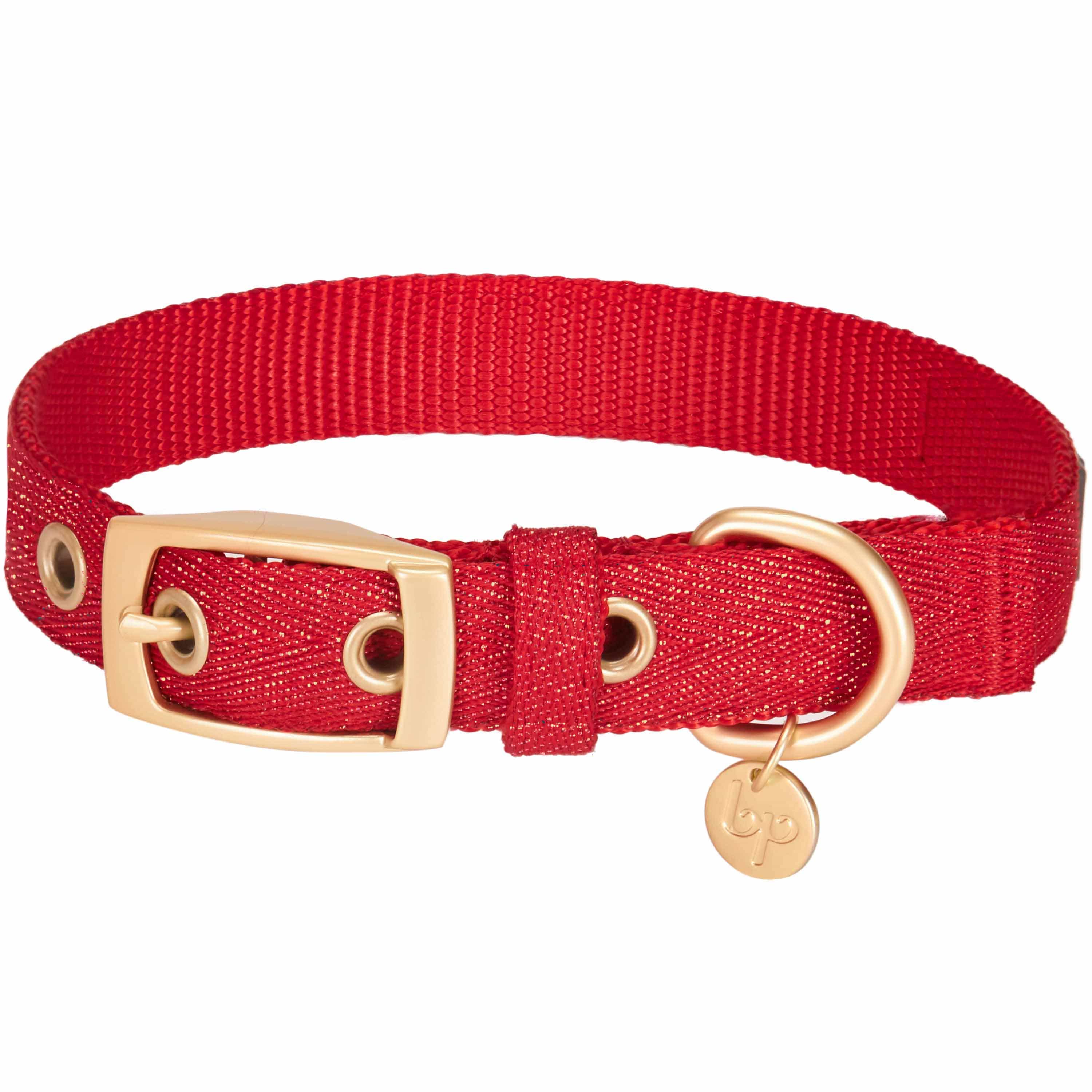 Blueberry Pet – coleira - Cão por atacado – A mais cobiçada designer de fio metálico para cão31