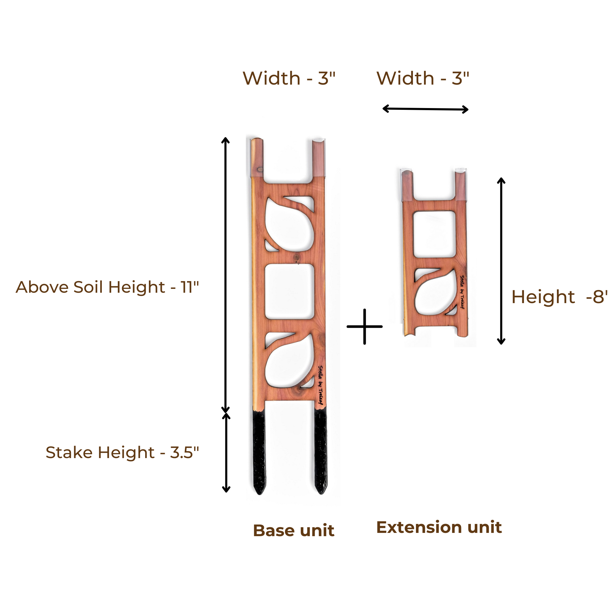 Treleaf - Vendita all'ingrosso Pergole - Stella - Graticcio modulare a scala in legno per piante6