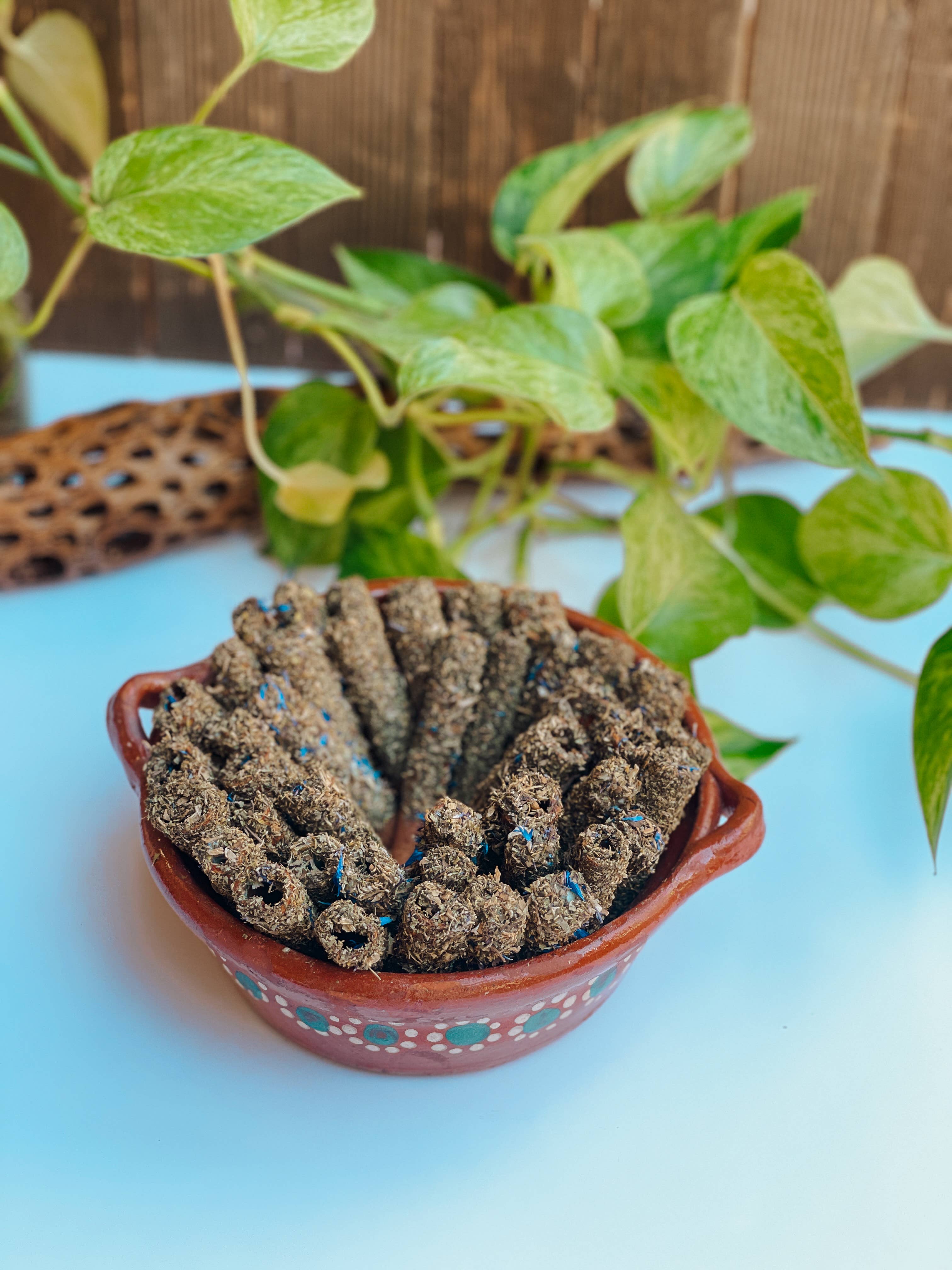 Yolia Botanica - Wholesale Incense - Canelitas - Palo Santo Alternative - 5 Pack2