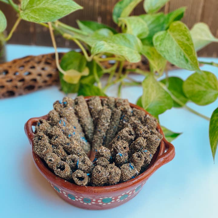 Yolia Botanica - Wholesale Incense - Canelitas - Palo Santo Alternative - 5 Pack2