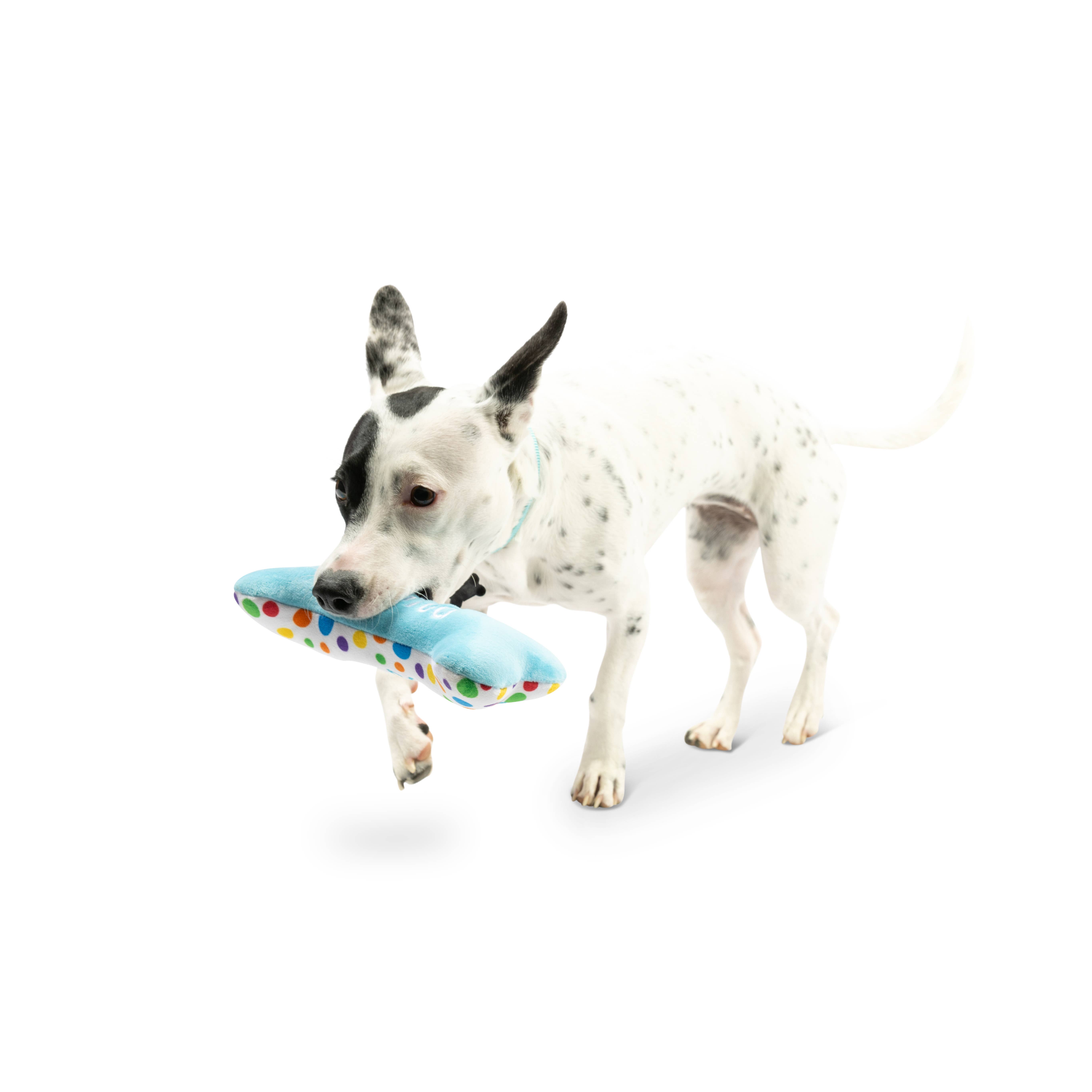 Huxley & Kent - Wholesale Pet Plush Toy - Dog - It's My Barkday Bone Dog Toy (Double Sided)9