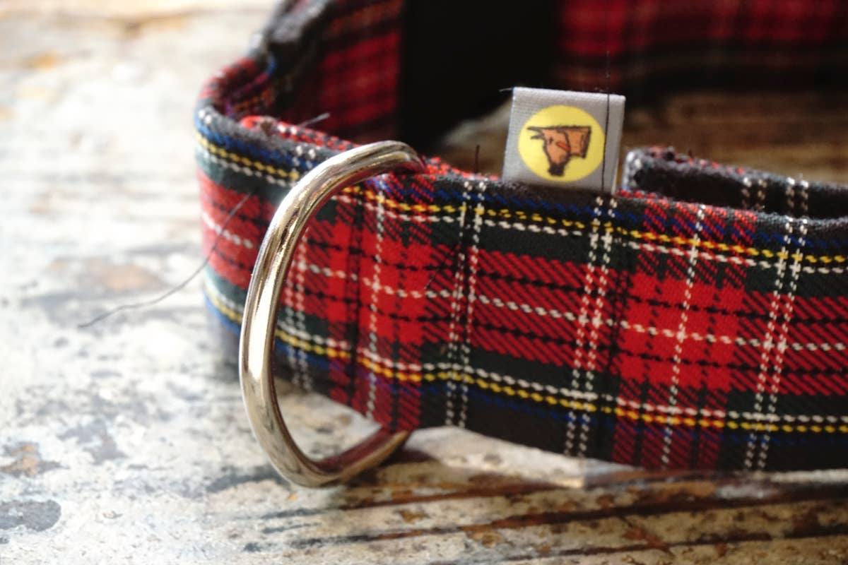 hundsfutter - Wholesale Pet Collar - Dog - Collar, leash, and bag holder set.20