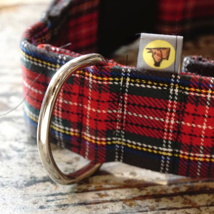 hundsfutter - Wholesale Pet Collar - Dog - Collar, leash, and bag holder set.20