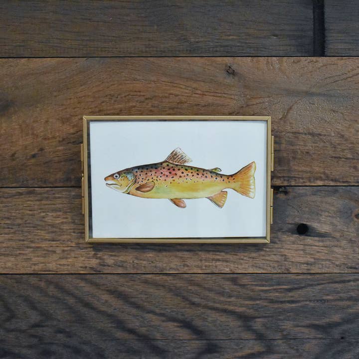 Brunørred 4x6 Akvareltryk for engroshandel hos Hadley Richards Designs