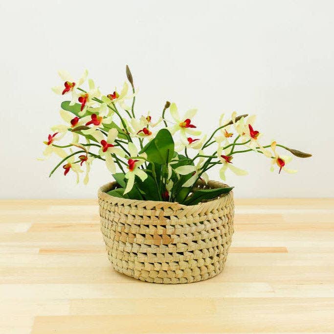 Gitzell FairTrade - Wholesale Plant Pot - Potted Planter, Palm Leaf0