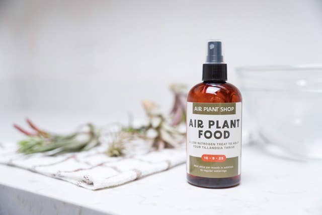 Air Plant Shop - Wholesale Fertilizer - Ready-To-Use Tillandsia Air Plant Fertilizer4