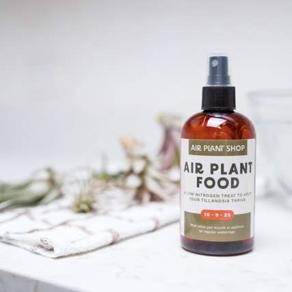 Air Plant Shop - Wholesale Fertilizer - Ready-To-Use Tillandsia Air Plant Fertilizer4