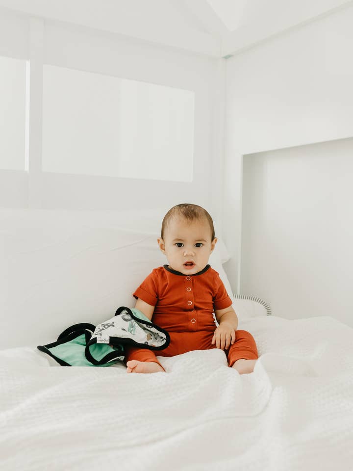 Copper Pearl - Wholesale Security/Cuddle Blanket - Baby - Three-Layer Security Blanket Set - Jo4