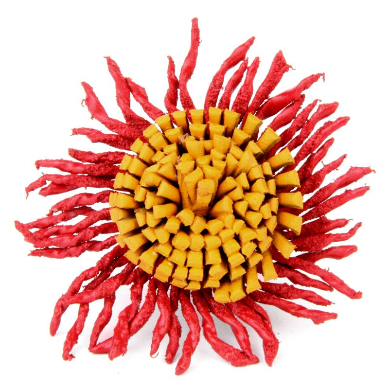 Erik & Mike – Anel de cocktail/declaração por atacado – Anel de couro girassol ajustável em cores variadas3