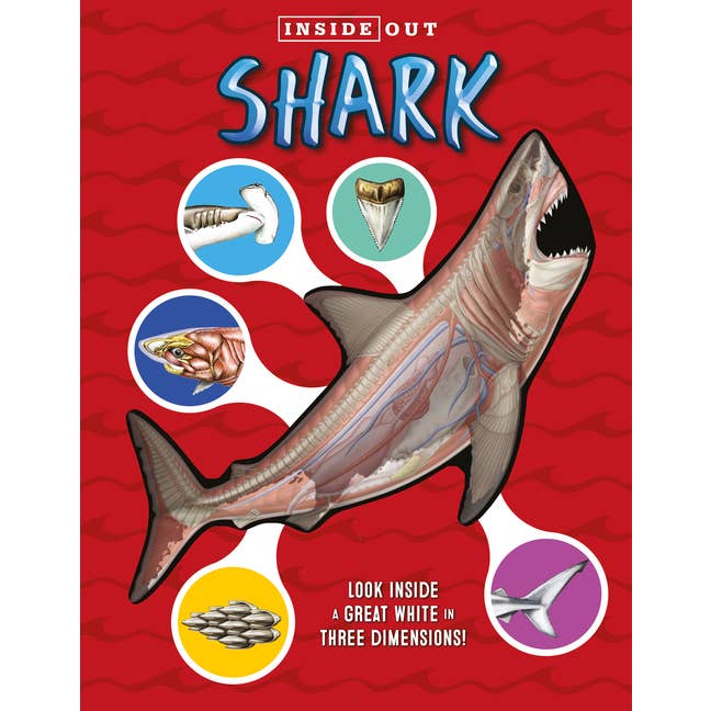 Inside Out Shark: Look Inside a Great White in Three Dimensions!
for wholesale by Bradley's Book Clearance