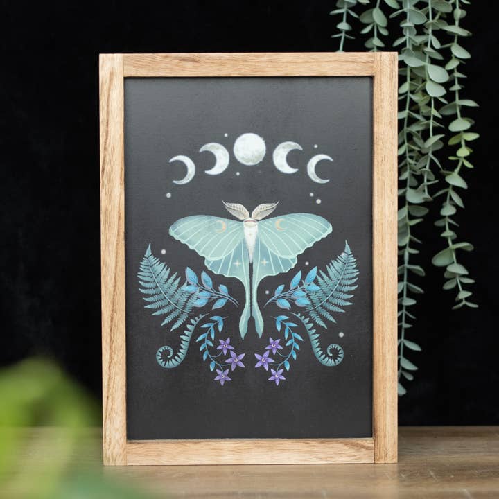 Something Different Wholesale - Wholesale Art Print - Luna Moth Wooden Framed Wall Art