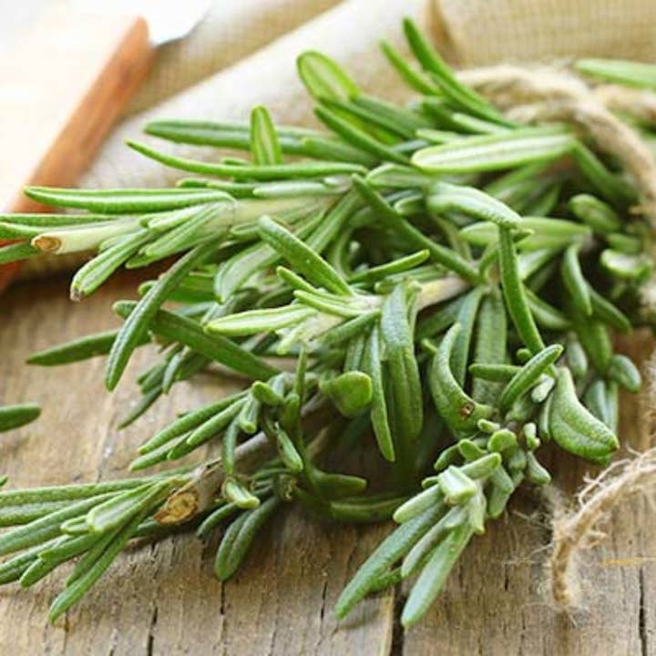 Zia Pia - Wholesale Dried Spice - Organic Sicilian Rosemary by Agricola Filippone