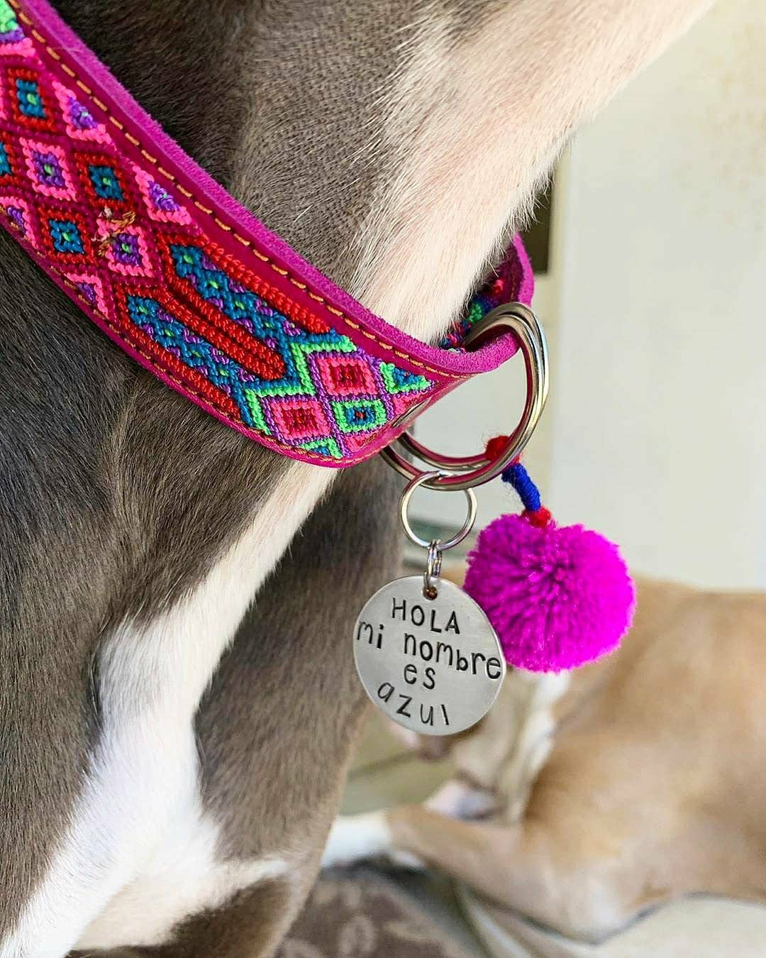 Mom And Pup Co. - Wholesale Halsband - Hond - XS Mexikaanse huisdierhalsband - kleurrijke leren halsband met tribale borduursels1