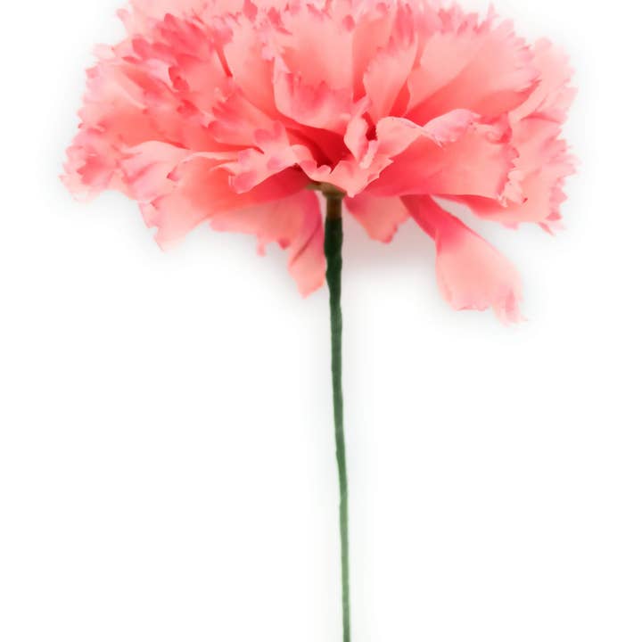 Large Flamingo Carnation Flower Hair · Salmon Ø13cm for wholesale by BRANDELIA