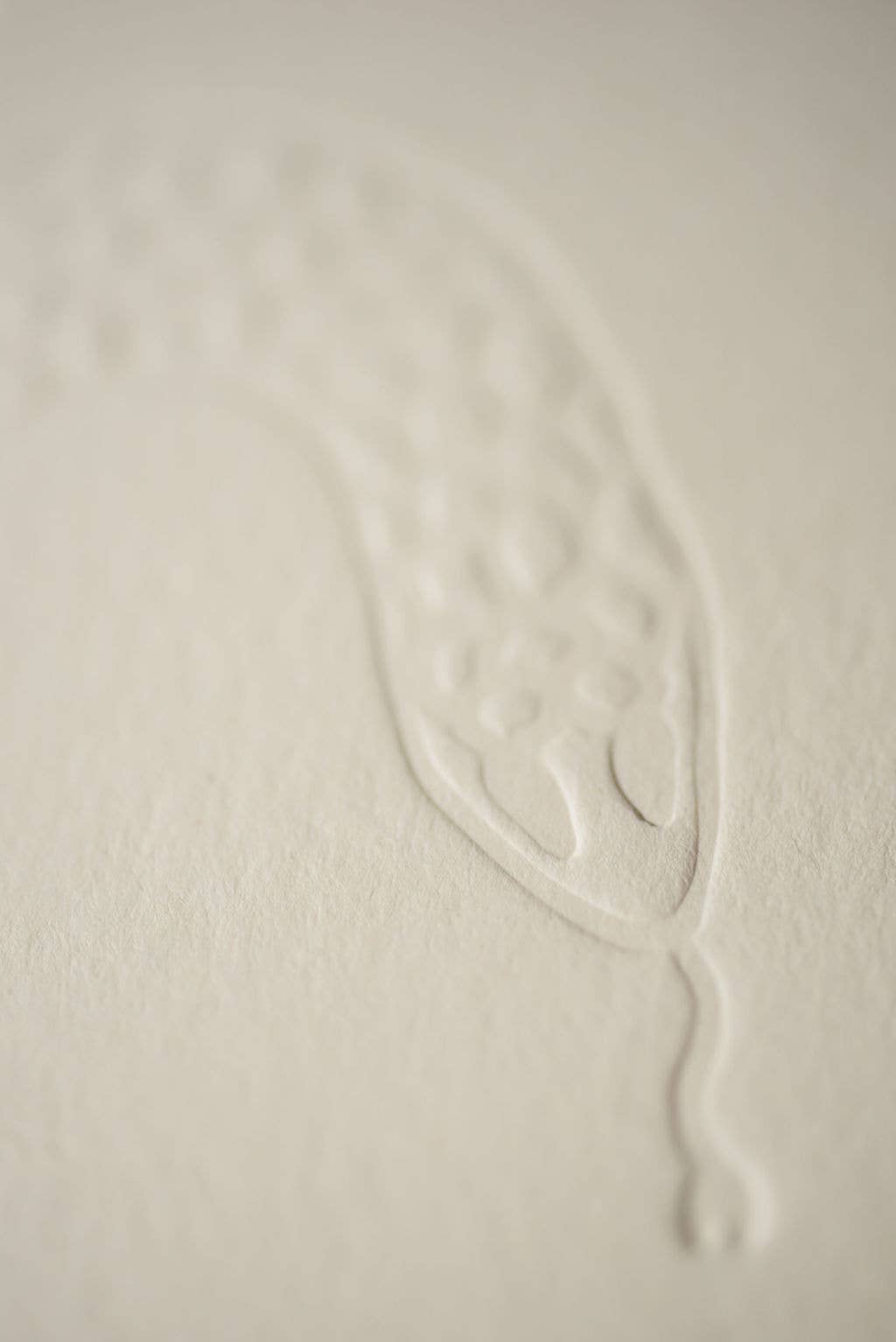 Casa Blanca Coffee Roasters - Wholesale Ground Coffee - Sobremesa - Half Decaf Coffee Blend - Ground1