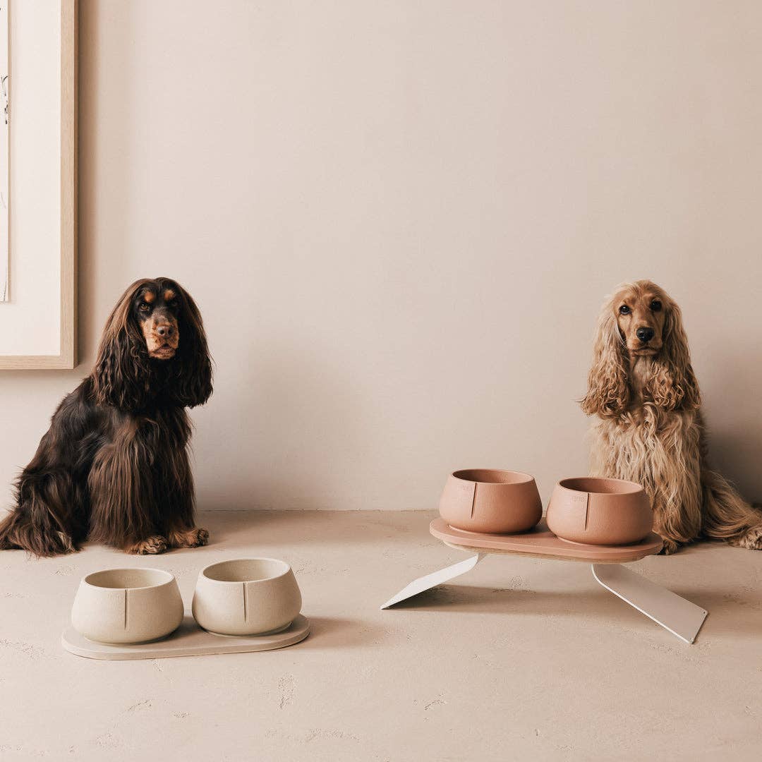 PINO - Wholesale Drinkbak - Kat/Hond - Trays voor honden49