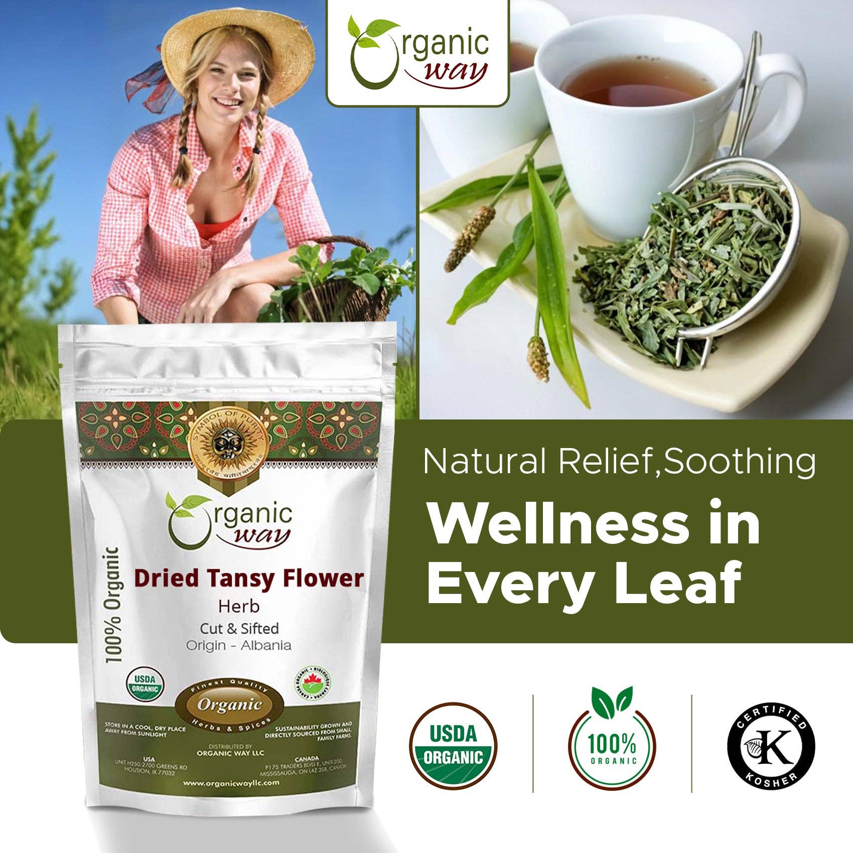 Organic Way LLC – wholesale Löst te – Torkad Renfana Blomma Örtte Skuren & Siktad | Europeiskt Vildplockad | Kosher Certifierad | Vegansk, Icke-GMO & Glutenfri | USDA Certifierad | Ursprung - Albanien6