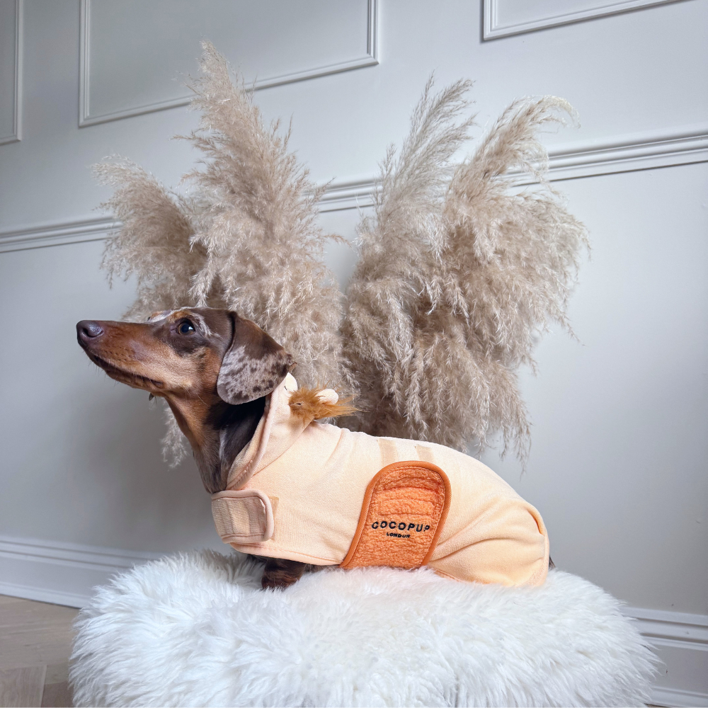 Cocopup London - Venta al por mayor Sudadera - Perros - Bata para secar perros Roary el León11