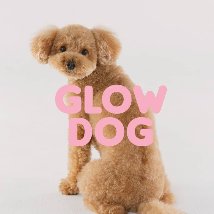 Masco Beauty - Wholesale Pet Shampoo - Dog - Glow Dog – 2-in-1 Vitamin Shampoo & Conditioner for Dogs2