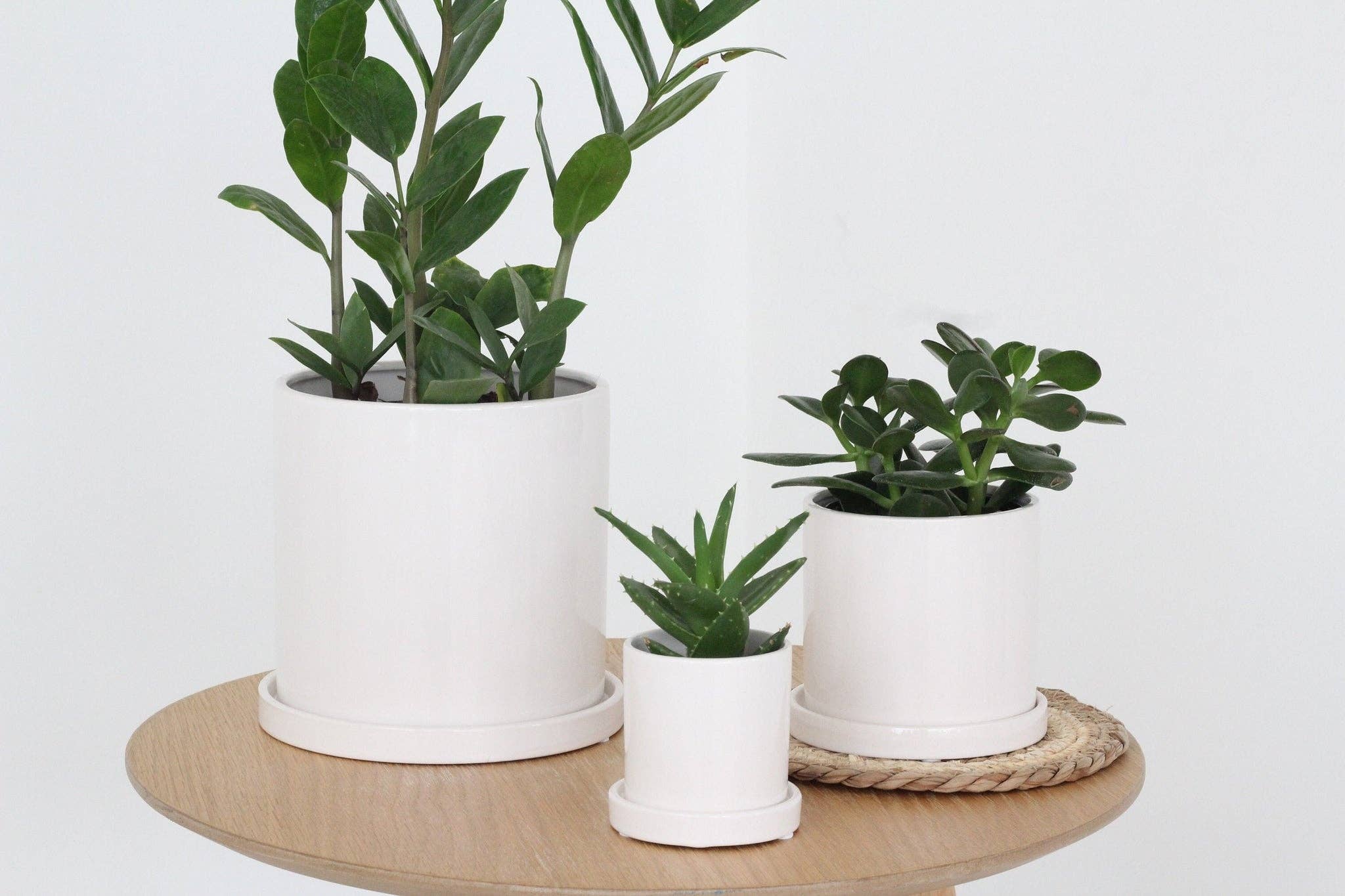 Sprout & About - Wholesale Plant Pot - Small Planter with Saucer in Minimalist Glossy White4