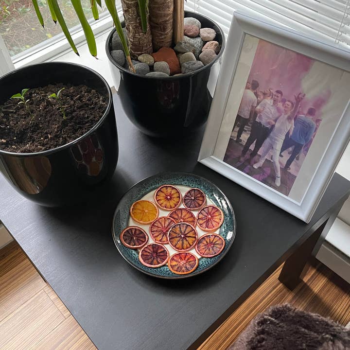 David Blake Cocktails - Wholesale Dried/dehydrated fruit - 40+ Piece Small Blood Orange Bag1