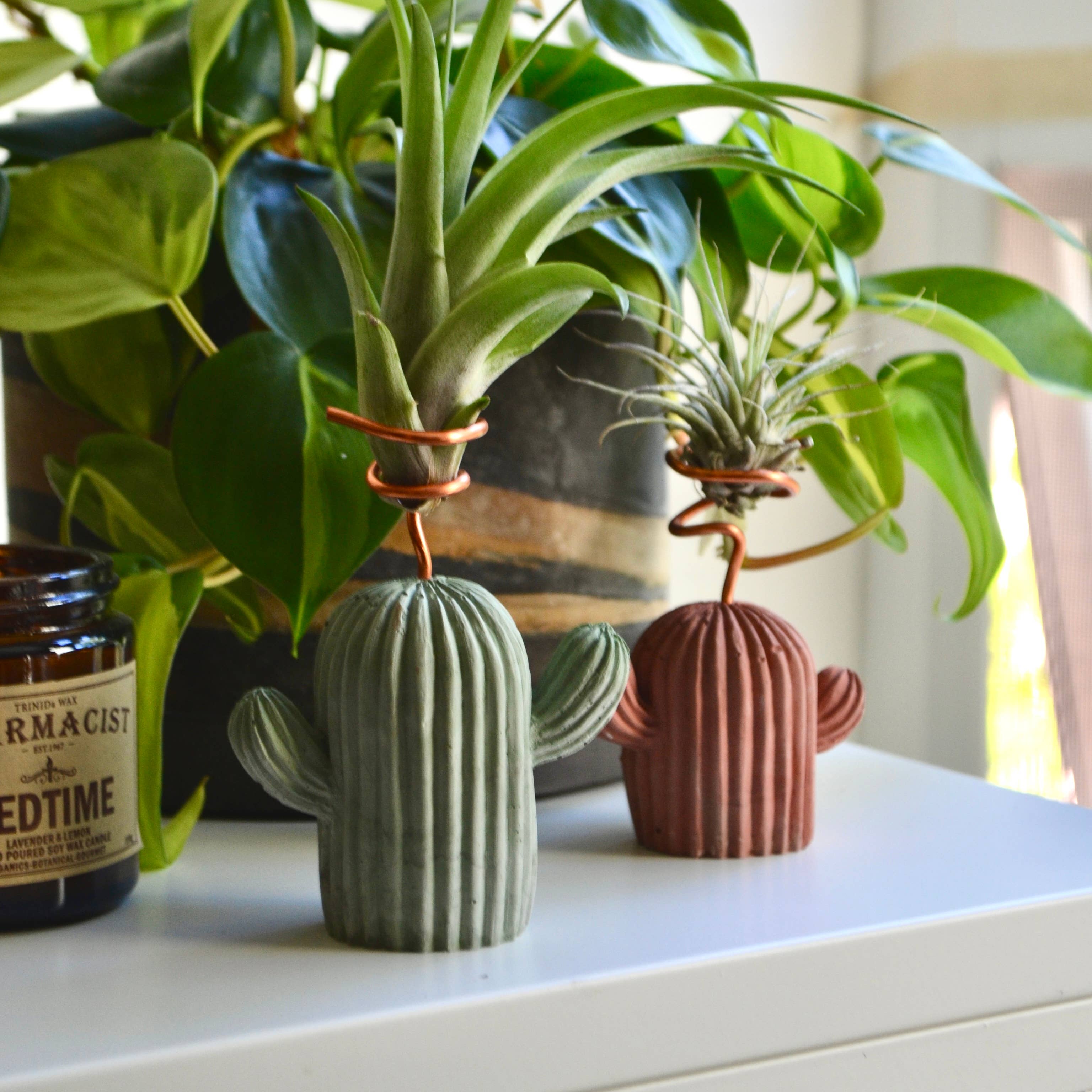 LindaMakess - Wholesale Plant Pot - Mini Cactus Holder1