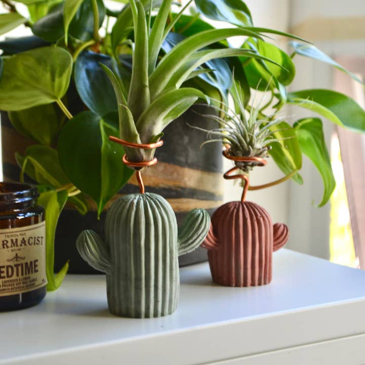 LindaMakess - Wholesale Plant Pot - Mini Cactus Holder1