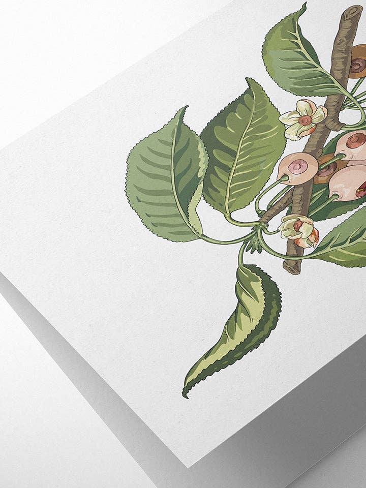 Useless Treasures - Wholesale Everyday Greeting Card - Hanging | A6 Greeting Card1