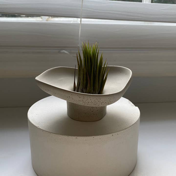 Fancy Concrete - Wholesale Decorative Plate/Dish/Bowl - Aglaya - Pedestal Bowl