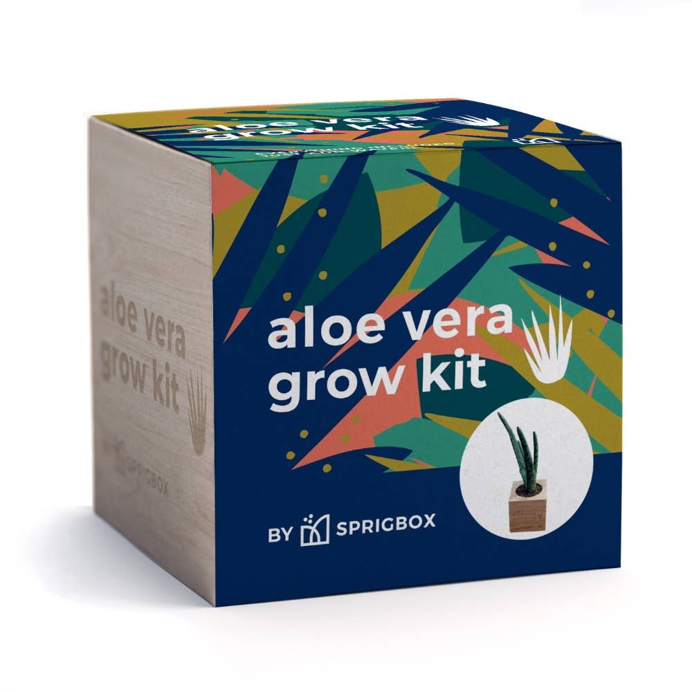 Sprigbox - Wholesale Planter Box - Aloe Vera Grow Kit | Wooden Planter | Succulent Gardening