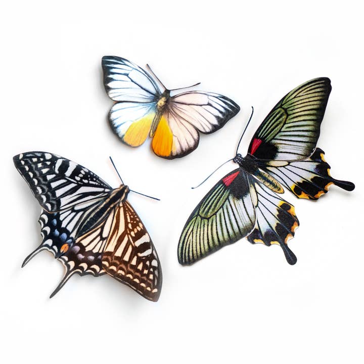 Moth and Myth - Wholesale Craft Supplies - 'Basra' Butterfly 3 piece Set