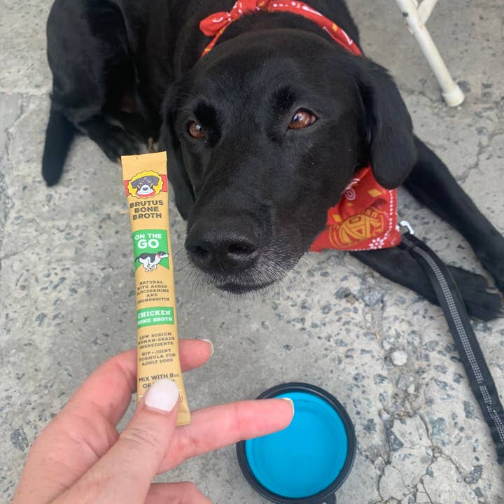 Brutus Broth - Wholesale Pet Treats - Dog - Brutus Broth Instant Bone Broth Chicken4