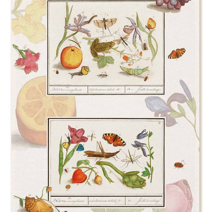 Kitchen Towels "Anselmus", 100% Made in Italy for wholesale by The Napking