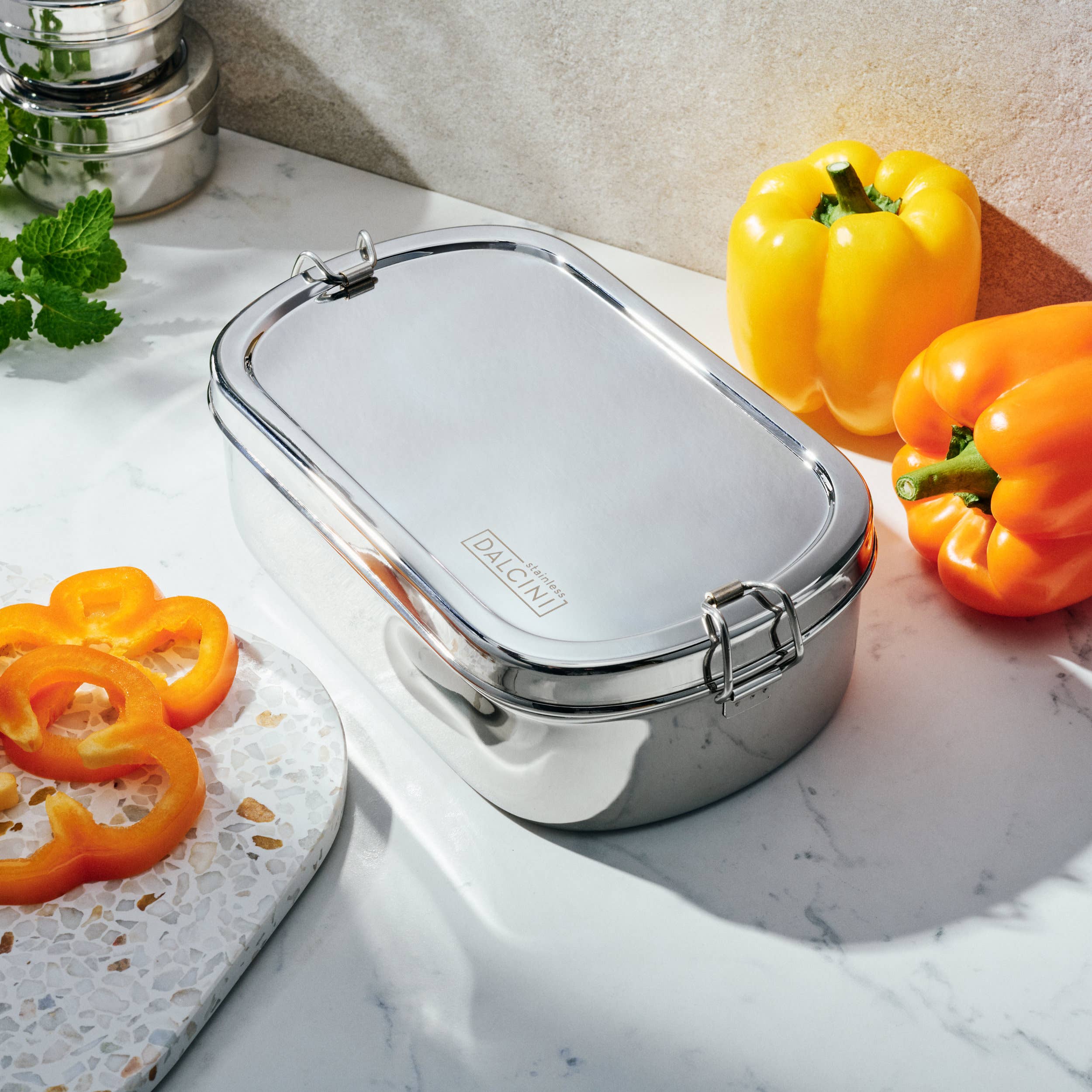 Dalcini Stainless Stainless Steel Bistro Lunch Box